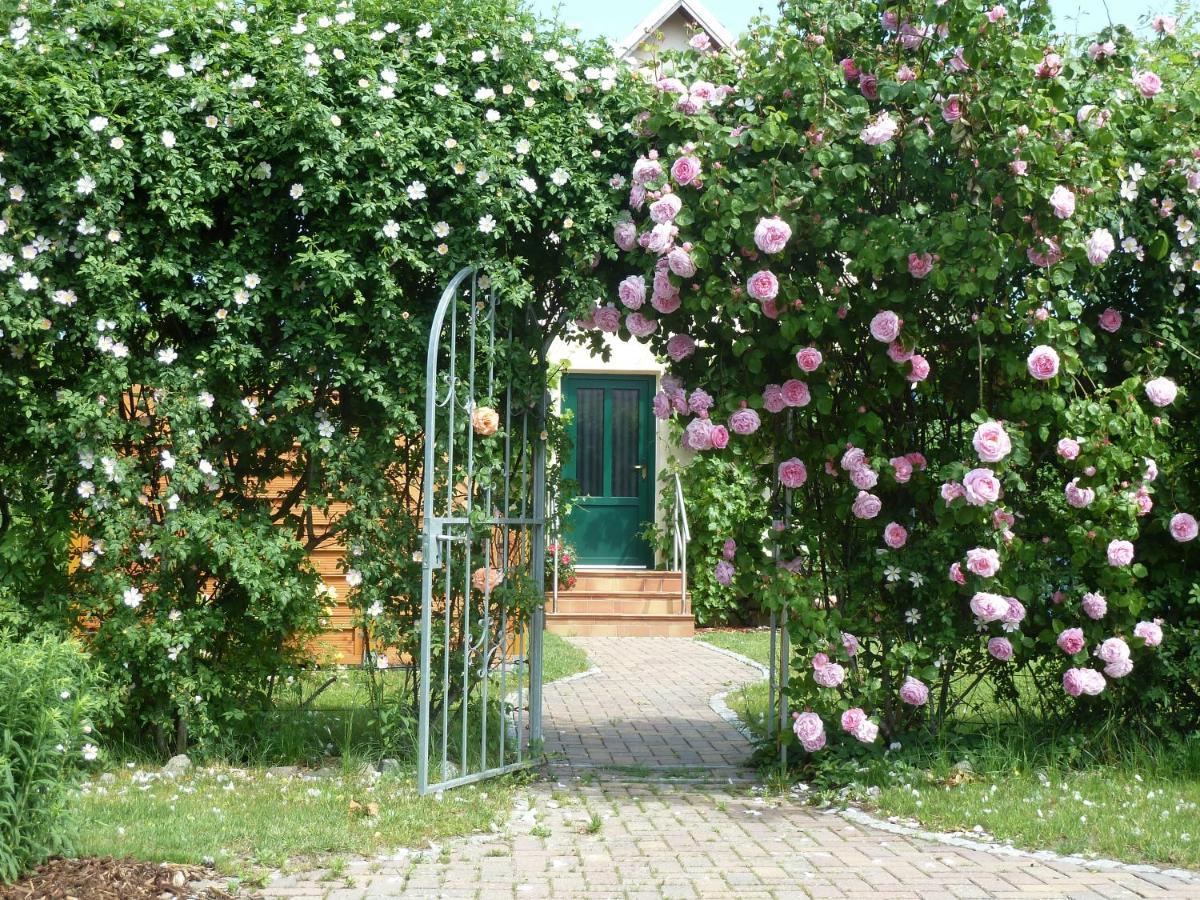 Ferienwohnung Ferien auf Rügen Familie Geist Garz  Exterior foto